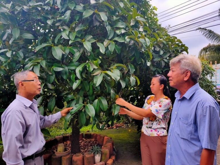 Hợp tác xã (HTX) dịch vụ nông nghiệp An Sơn