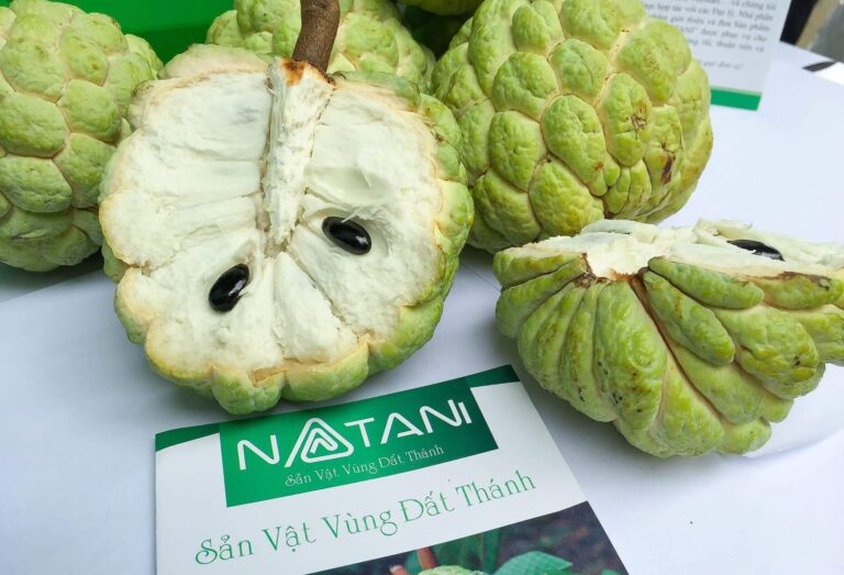 mãng cầu Bà Đen Tây Ninh