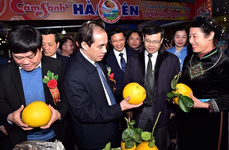 bưởi Thái Long - OCOP Tuyên Quang