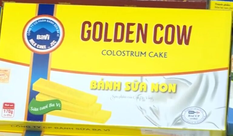 bánh sữa non con bò vàng