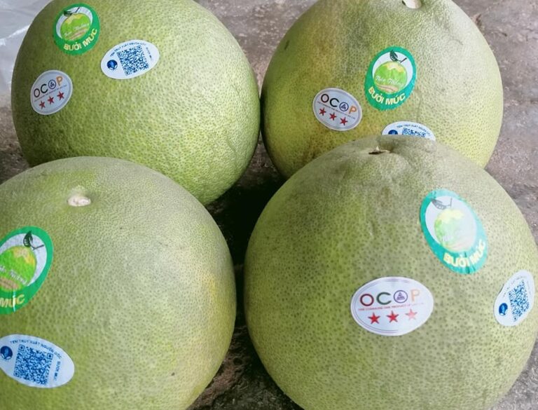 đặc sản bưởi Múc Lào Cai