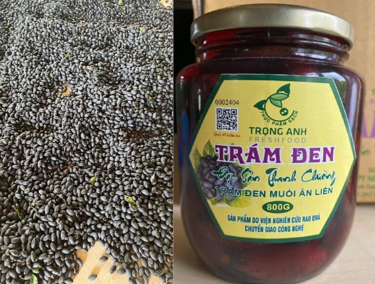trám đen muối ăn liền