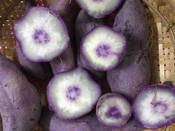 đặc sản khoai lang Dương Ngọc