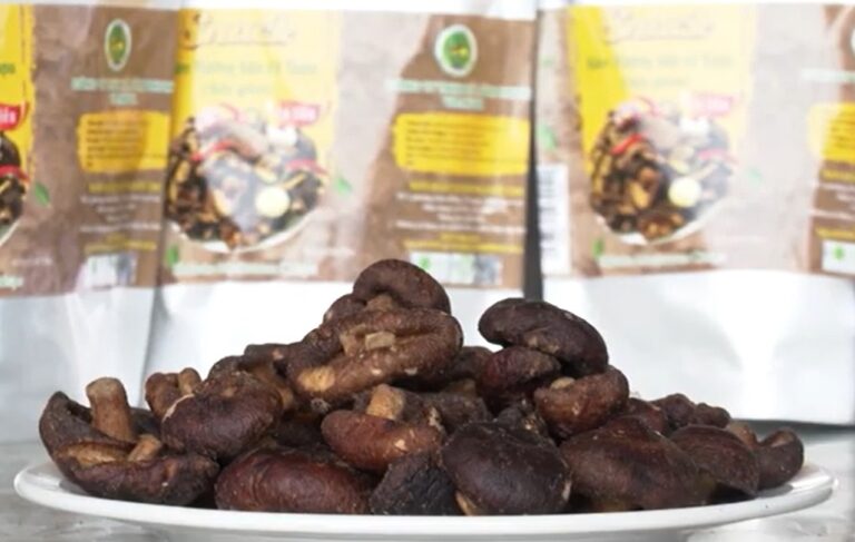 sản phẩm nấm hương sấy giòn