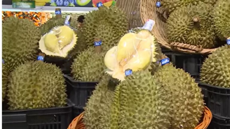 sầu riêng Ri6