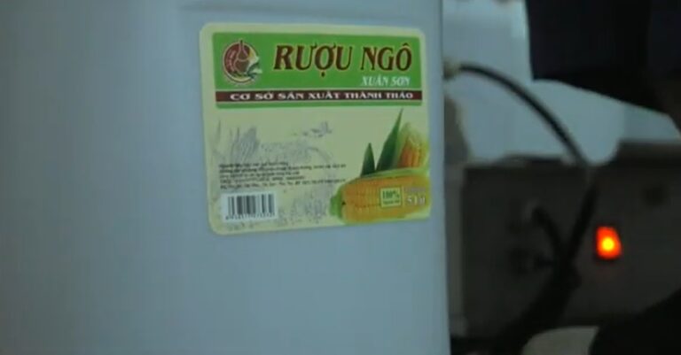 rượu ngô Xuân Sơn