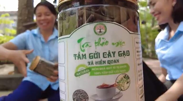 trà thảo mộc Tầm Gửi Cây Gạo
