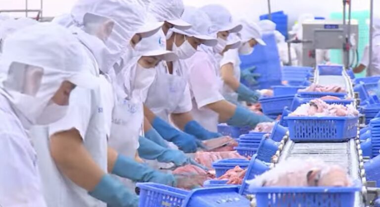 bài toán thức ăn cho ngành chăn nuôi thủy sản