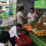 marketing bằng cách tham gia bán hàng tại phiên chợ nông sản