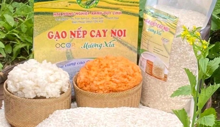 Nếp Cay Nọi Mường Xia: Hạt ngọc vùng cao được gìn giữ qua năm tháng