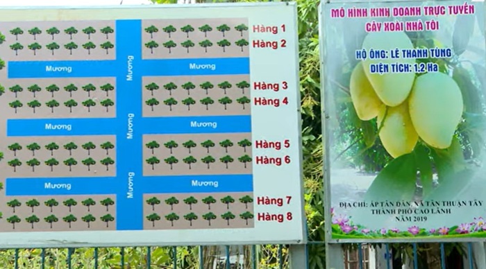 Tân Thuận Tây: Mô hình làng thông minh tiên phong của đồng bằng sông Cửu Long