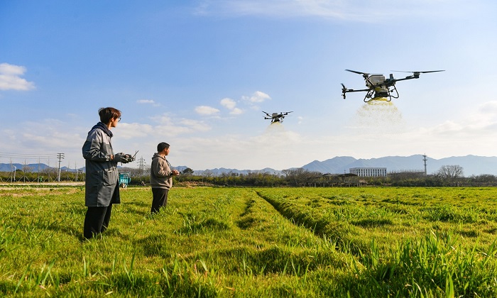 Nông nghiệp Trung Quốc: Từ ký ức đói kém đến cỗ máy an ninh lương thực lớn nhất thế giới