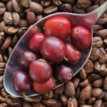 Cà phê Việt Nam 2026: Từ “vua Robusta” đến giấc mơ bản đồ specialty toàn cầu