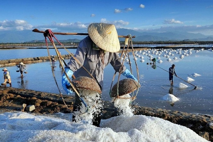 Muối Sa Huỳnh: Từ hạt muối thô đến chuỗi giá trị tỷ đồng và giấc mơ “tái định nghĩa” đặc sản Việt