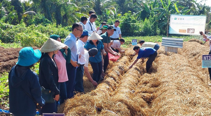 Rơm rạ không còn là phụ phẩm: Kinh tế tuần hoàn mở khóa giá trị mới cho ngành lúa gạo Việt