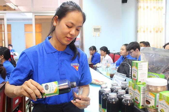 Trái nhàu Việt Nam: Dược liệu dân gian, sản phẩm thương mại và khoảng cách khoa học