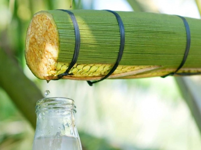 Nông nghiệp xanh Vĩnh Long: Từ lúa hữu cơ đến mật hoa dừa xuất khẩu, khi giá trị không còn nằm ở sản lượng