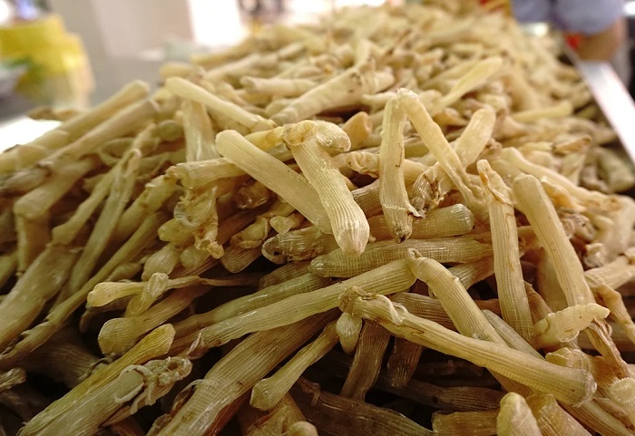 sá sùng khô