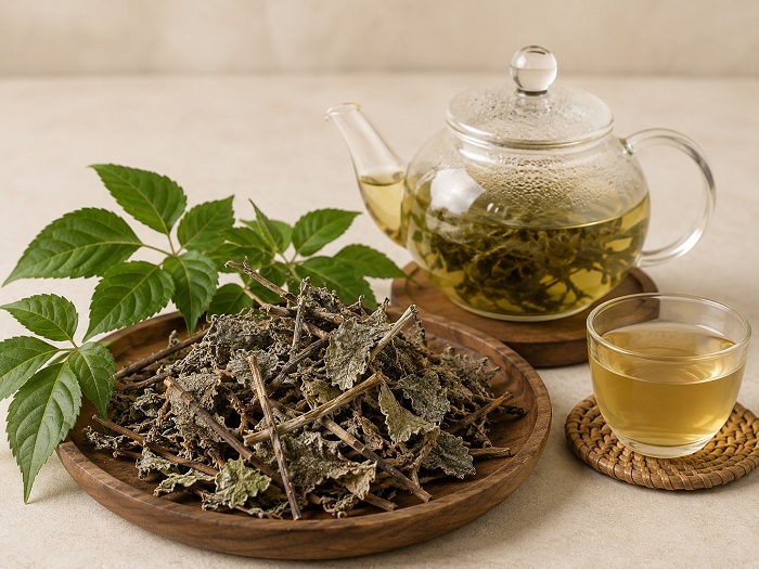 Chè dây: Từ thức uống “giải mỏi” của người vùng cao đến báu vật cho dạ dày
